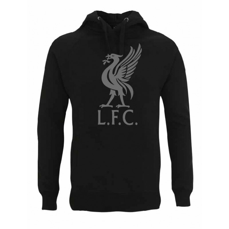 Liverpool Logo Hooded Sweatshirt